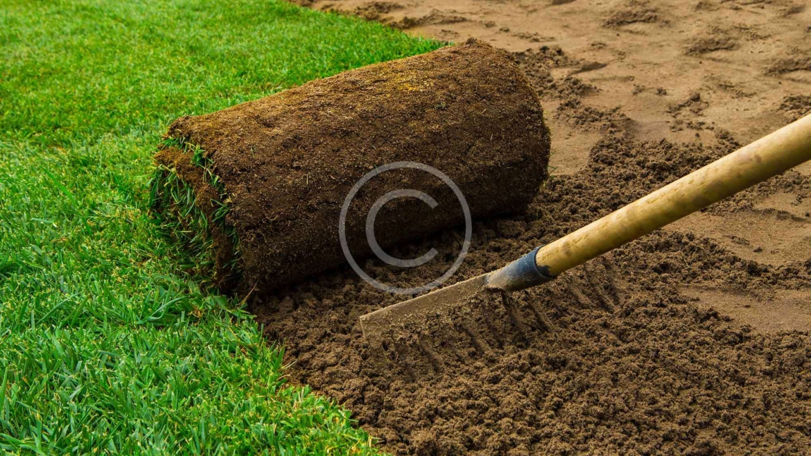 Fertiliser Treatments